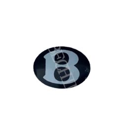 For Bentley Continental Flying Spur 04-12 Front Bumper badge OEM: 3W0853679L New